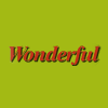 Wonderful Chinese