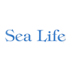 Sealife Fish Bar and Kebabs