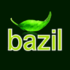 Bazil