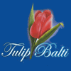 Tulip Wok