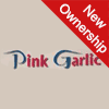 Pink Garlic