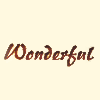 Wonderful Chinese