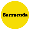 Barracuda
