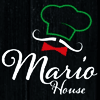 Mario House