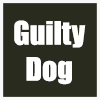 Guilty Dog