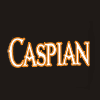 Caspian Charcoal Cuisine
