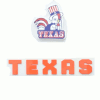 Texas Fried Chicken