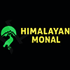 Himalayan Monal