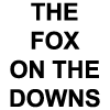 The Fox on the Downs-avatar
