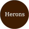 Herons-avatar