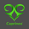 Caprinos Pizza - Abingdon