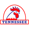 Tennessee Fried Chicken