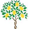 The lemon tree-avatar