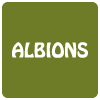 Albions