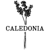 Caledonia Coffee & Bakes-avatar