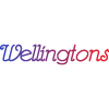 Wellingtons-avatar