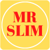 MR SLIM KOREAN FOOD