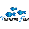 Turners Fish Restaurant Sheddys-avatar