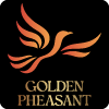 Golden Pheasant