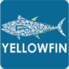 Yellowfin Poke