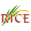 Rice Chinese