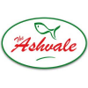 The Ashvale-avatar