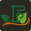 Patel Paan & Food