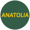 Anatolia Kebabs - Since 1993-avatar