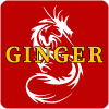 Ginger Express