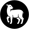 Haneeth-avatar