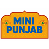 Mini Punjab-avatar