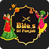 Bites Of Punjab-avatar