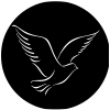 The Dove Freehouse And Kitchen-avatar
