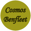 Cosmos Benfleet